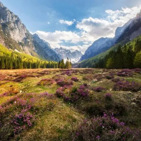 Fairytale - Peaceful Getaway Near Bled بيت للعطل زغورنجي