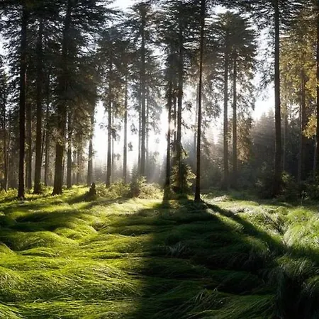Fairytale - Peaceful Getaway Near Bled Holiday home