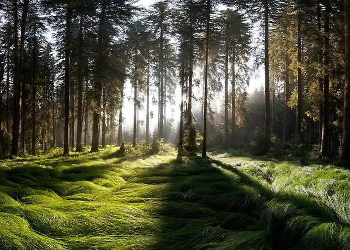 Fairytale - Peaceful Getaway Near Bled Vikendica